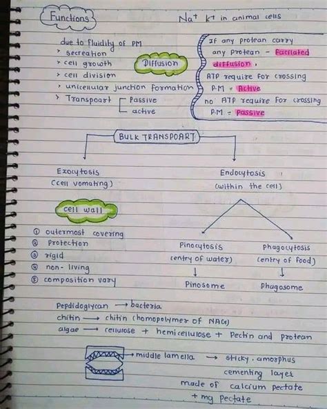 Biology Hand Written Notes For Jee Mains And Neet Mdcat Basic Math