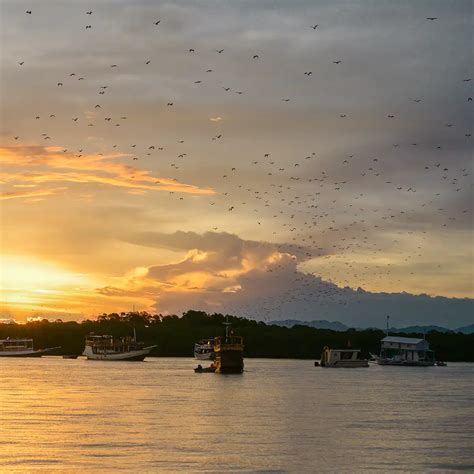 Kalong Island: The Bat Island with Wonderful Sunset - KomodoLuxury