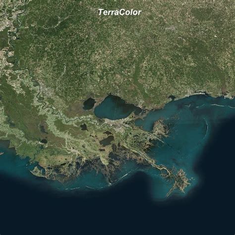 Mississippi River Delta - Alchetron, the free social encyclopedia