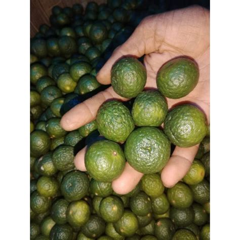 Jual JERUK LIMAU LIMO 1KG Shopee Indonesia