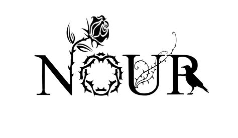 Nour Logo Design On Behance