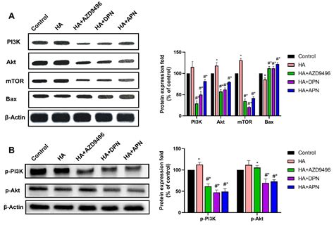 Molecules Free Full Text Apigenin Inhibits Histamine Induced