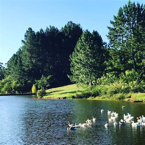 Lote Terreno Na Estrada Do Quilombo Lomba Grande Em Novo Hamburgo Por