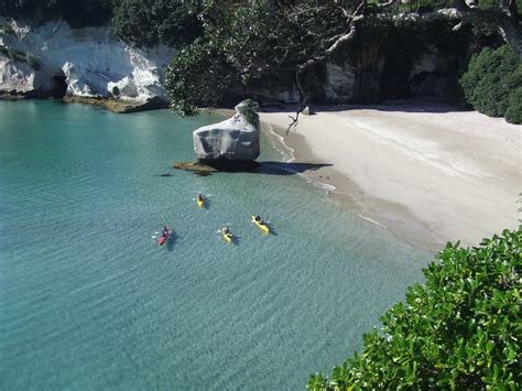 Cathedral Cove Sea Kayaking, Coromandel, NZ - 118 travel reviews for Cathedral Cove Sea Kayaking