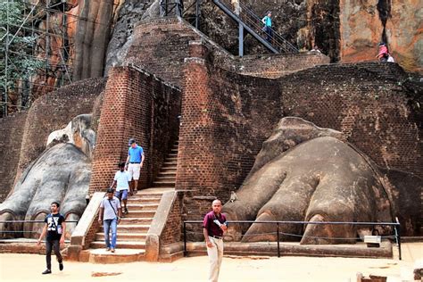 30+ Free Sigiriya & Sri Lanka Photos - Pixabay