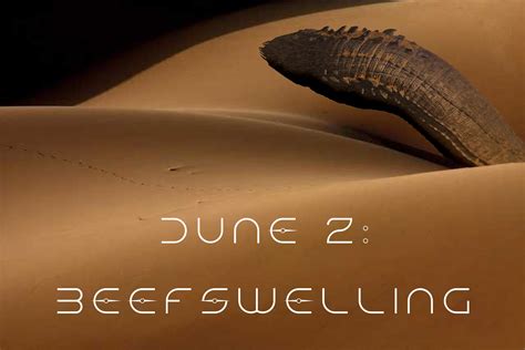 The new Dune Part 2 poster got leaked, I’ve never been more hyped : r