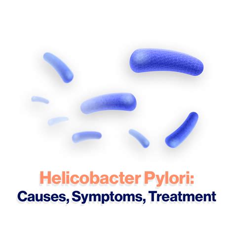 Helicobacter Pylori: Causes, Symptoms, Treatment – Berkeley Health Limited