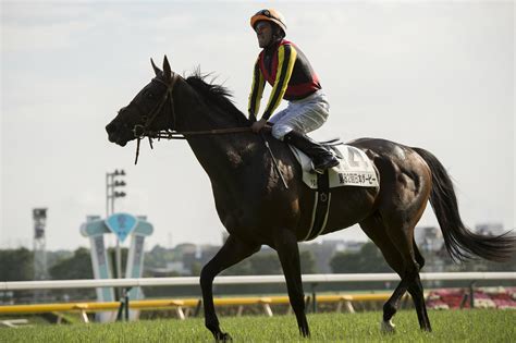 ノーザンファームの男たちが語る歴代最強のダービー馬”「2冠馬ドゥラメンテは集大成」「ディープの仔は馬房を出た瞬間にわかる」（4／4