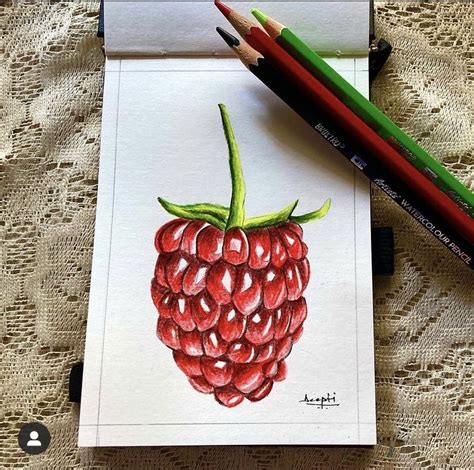 Color Pencil Raspberry Drawing Pencil Drawings For Beginners Fruits