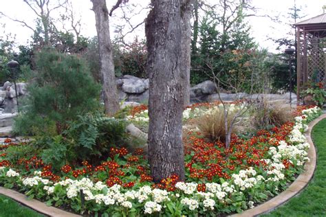 Fall & Winter Flower Beds - Landscape Makeover | Folsom & Sacramento