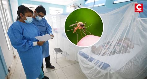 Alarmante Incremento De Casos De Dengue En Perú Más De 18 Mil