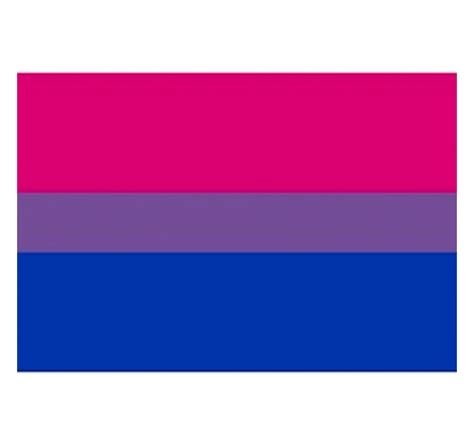 Bisexual Bi Pride Flag Sticker For Car 2x3 Rectangle Bumper Sticker Decal Pride Shack