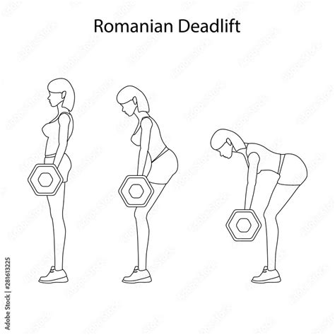 Romanian deadlift exercise outline Stock Vector | Adobe Stock