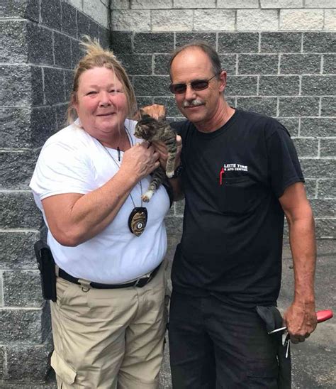 Kitten Survives 45 Mile Trip Trapped Under Car