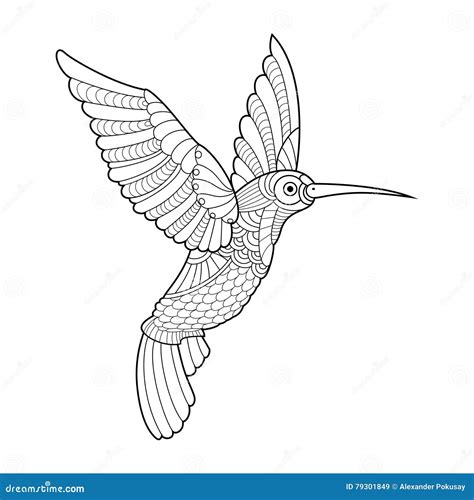 Dibujos De Colibri Para Colorear