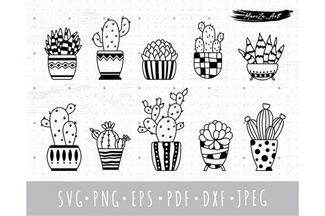 Boho Potted Cactus Succulent Svg Set Graphic By Myspacegarden