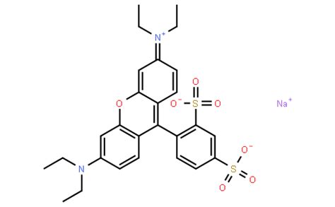 血液学组织学 中锦隆科技