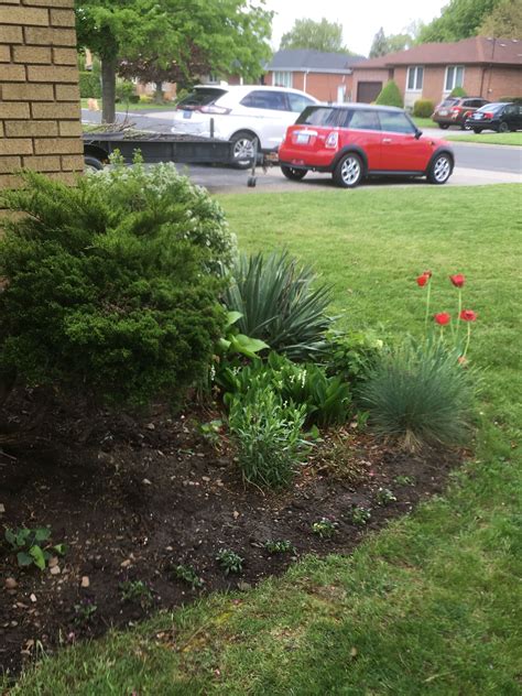 Beautiful Garden Design with Flower Bed and Bushes