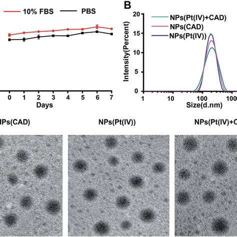 In Vitro Evaluation Of Anticancer Activity Of Nanoparticles The