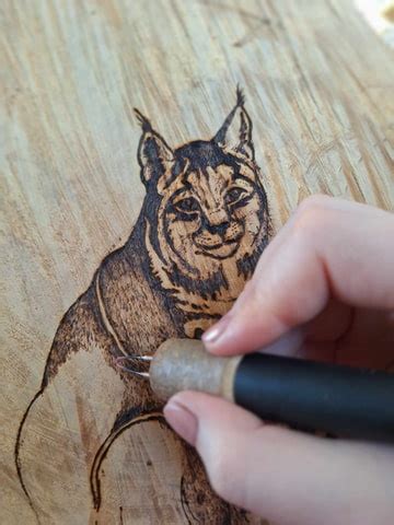 Art Mijn Pyrografie Branden Op Hout Werken Van Bokt Nl