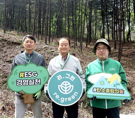 현대백화점그룹 용인에 탄소중립의 숲 조성 한국경제