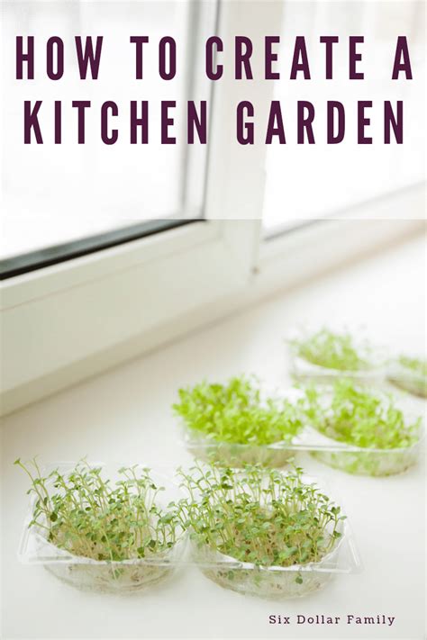 How to Start a Kitchen Garden • Six Dollar Family