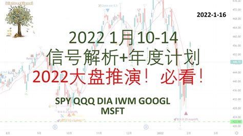 美股bigtreesignal 1月信号解析qqq Spy Iwm Msft Goog 年度计划美股 Youtube