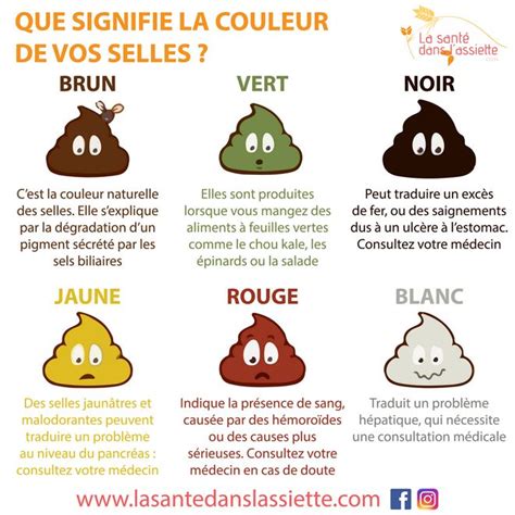 Fiche pratique Que signifie la couleur de vos selles Détox