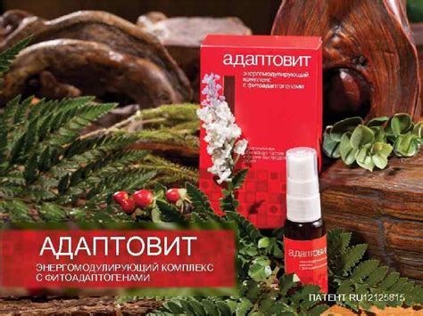АДАПТОВИТ ЭНЕРГОМОДУЛИРУЮЩИЙ КОМПЛЕКС С ФИТОАДАПТОГЕНАМИ ПАТЕНТ RU 12125815