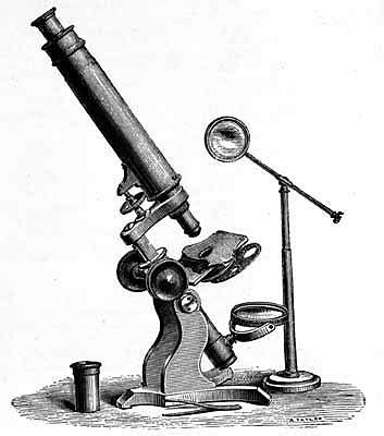 Evolução dos microscopia timeline | Timetoast timelines