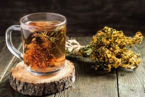 Золотой ус настойка на водке применение: рецепты и лечение, лечебные ...