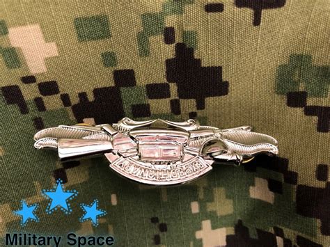 MINI ORIGINAL NAVY Enlisted Expeditionary Warfare Specialist Insignia ...