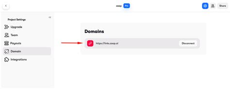 Connect Your Own Domain With Zaap Ai Tutorial