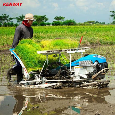 Cc Rows Semi Automatic Planting Walk Behind Rice