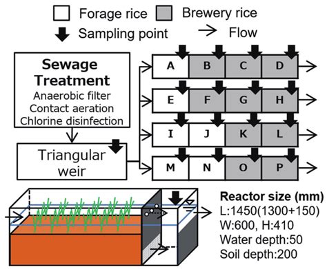 Configuration Of The Pilot Scale Experiment Download Scientific Diagram