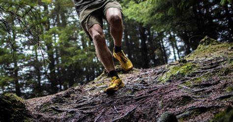 GUIDE: Choosing a running shoe for trails and the forest - Find trail ...