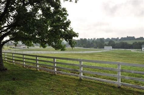 Visit famous horse farms in kentucky on these virtual tours of horse ...