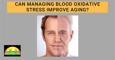 Learn How Oxidative Stress Impacts Aging Glixin