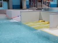 Doncaster Dome - Swimming Pool | AccessAble