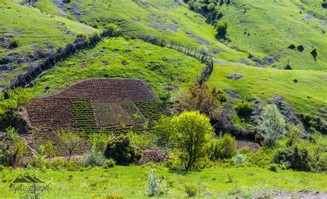 Нива в Родопите | Landscape, Outdoor, Farmland