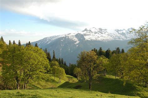 Туры в Абхазию 2021 с перелетом из Москвы, отдых в Абхазии | Интурист ...