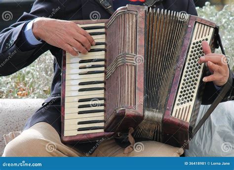 Accordionist Accordian Play Playing Stock Image Image Of Evening