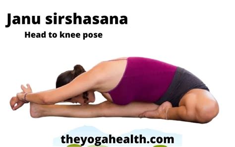 Janu Sirsasana Head To Knee Pose Benefits Steps Variations