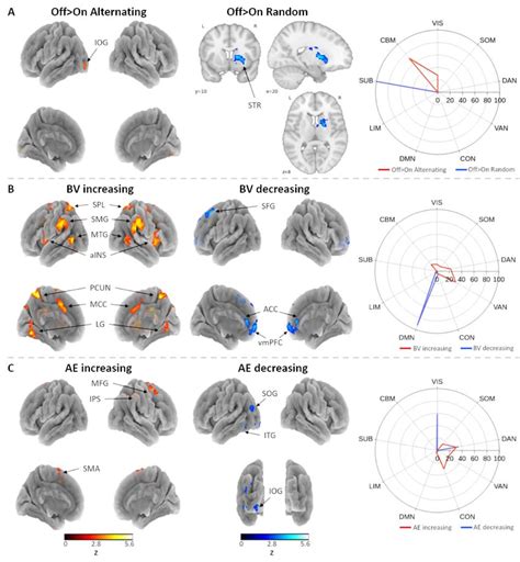 (A) Active brain regions preceding mind wandering reports during the ...