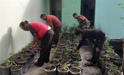 Urban Farming Koramil 10 Sepatan Kodim 0510 Trs Manfaatkan Lahan Kosong