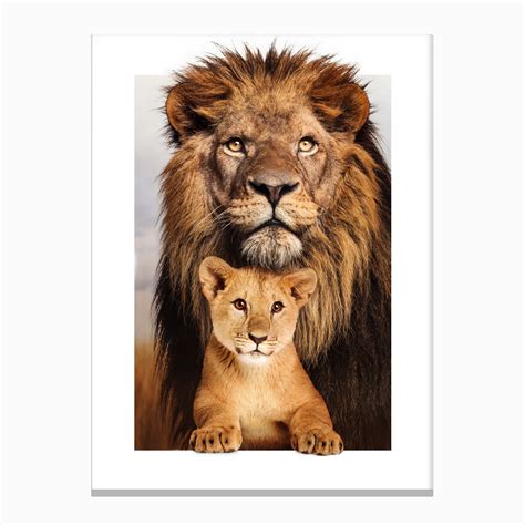 Lion Family Canvas Print by Jonas Loose Kids - Fy