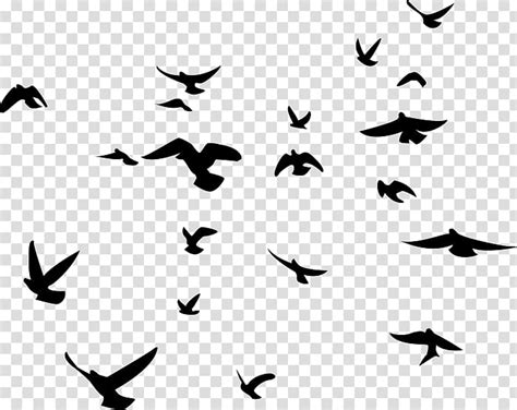 Flock Of Crows Silhouette