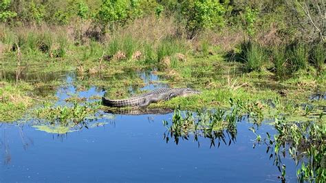 10 Best Florida State Parks to Visit on Your Family Vacation ...