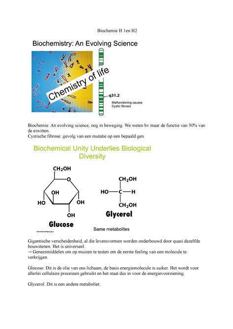 Biochemie Hoofdstuk 1 En Hoofdstuk 2 Biochemie H 1en H Biochemie An