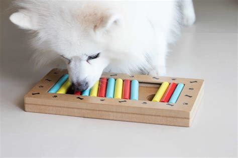 Interactive dog toys provide mental stimulation, reduce anxiety